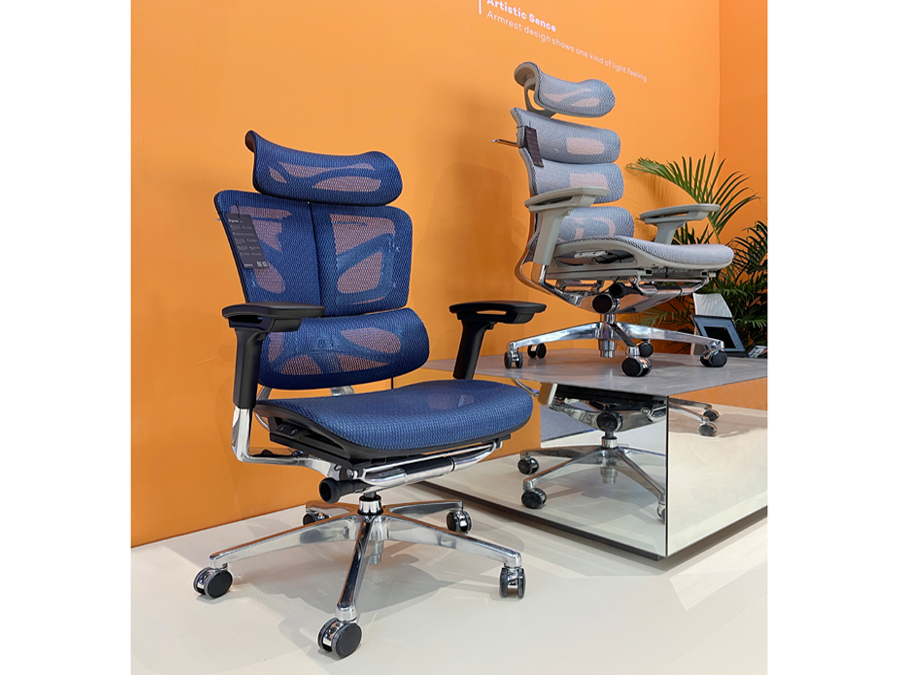 Ergonomic Chairs: Intellectual Tax or Health Investment?cid=5