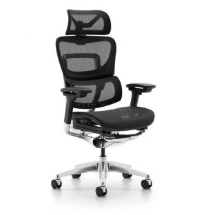 High Back Ergonomic Office Chairs with Headrest