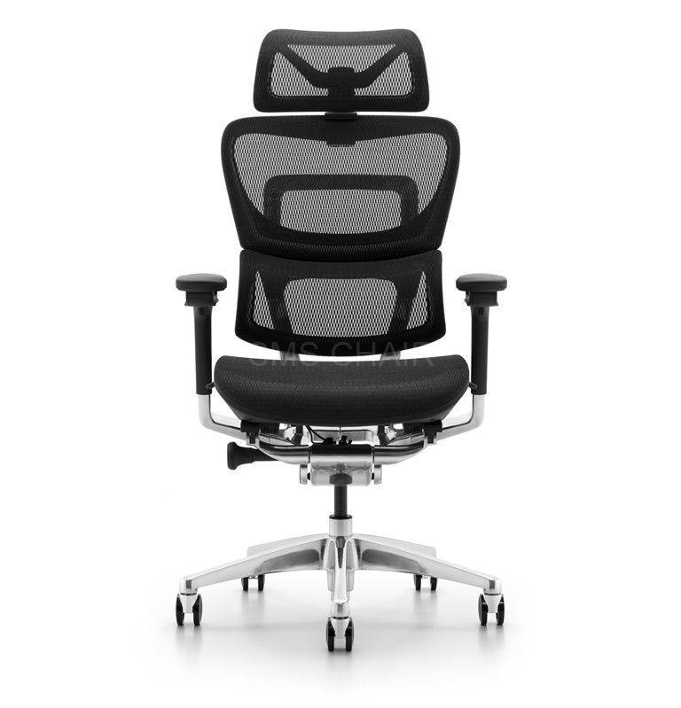 High Back Ergonomic Office Chairs with Headrest