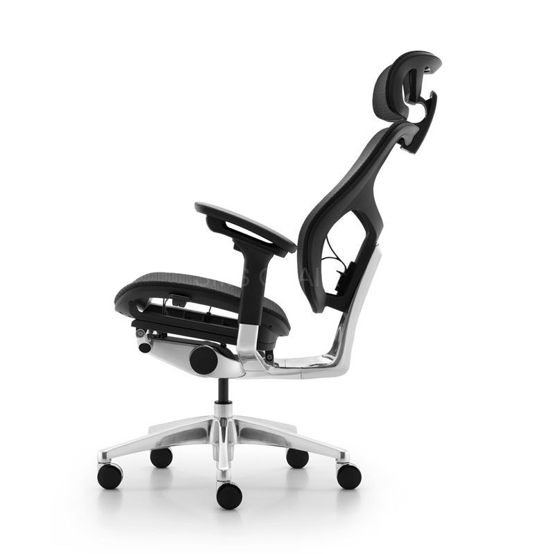 Passed BIFMA Standard Luxury Ergonomic Mesh Office Chair