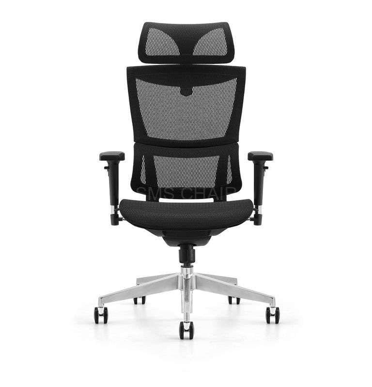 Factory Sales Full Mesh Ergonomic Computer Chair with 3D Lumbar Support