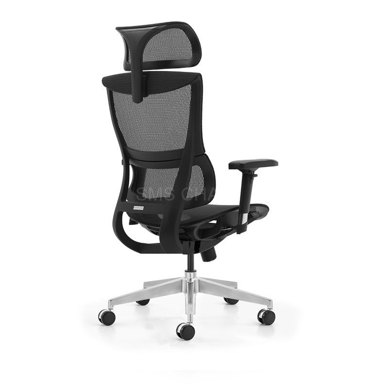 Factory Sales Full Mesh Ergonomic Computer Chair with 3D Lumbar Support