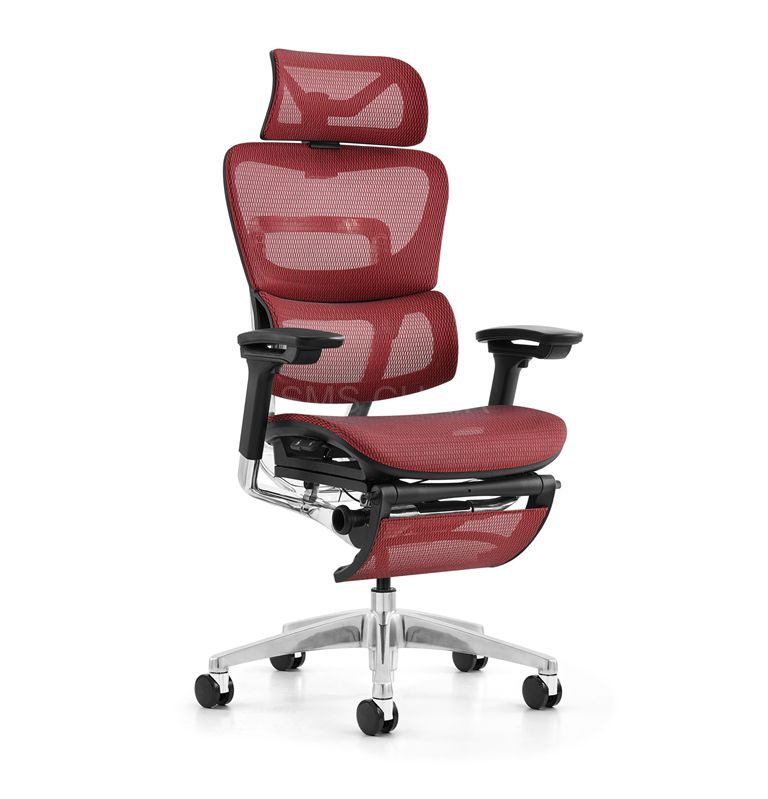 Modern Mesh Executive Ergonomic Office Chair with Footrest