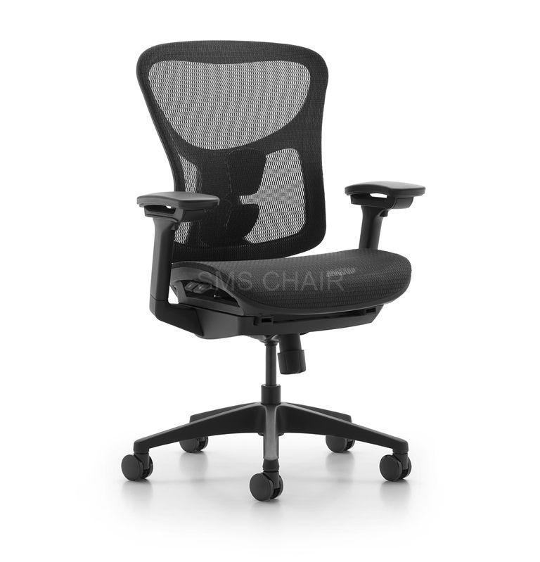 Low Back Revolving Ergonomic Executive Office Chair