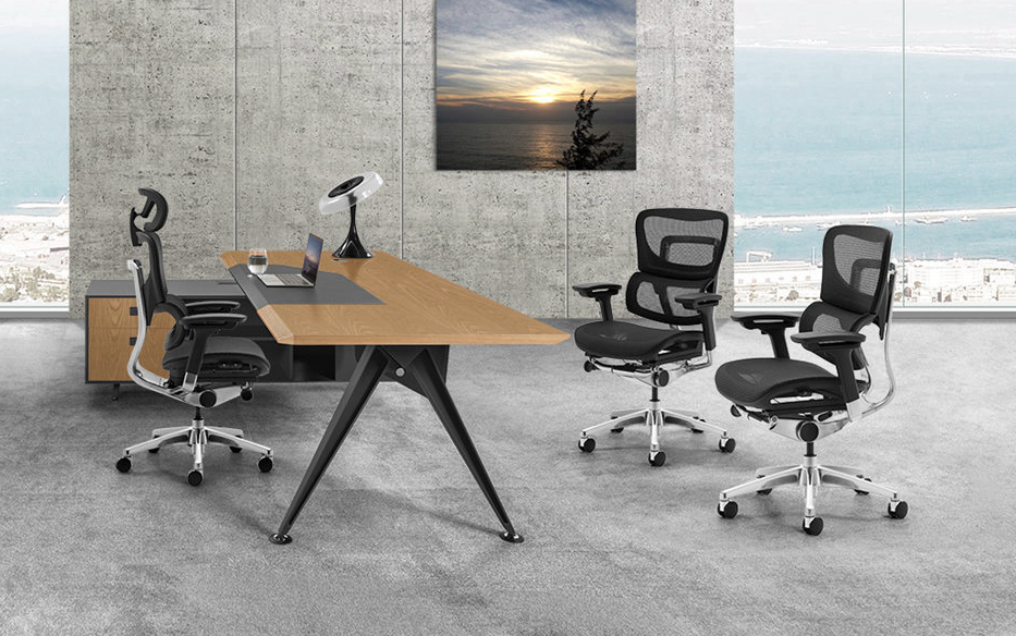 Several Famous Ergonomic Office Chair Brands