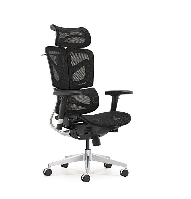 Ergonomic Luxury Office Mesh Chair With Dynamic Backrest