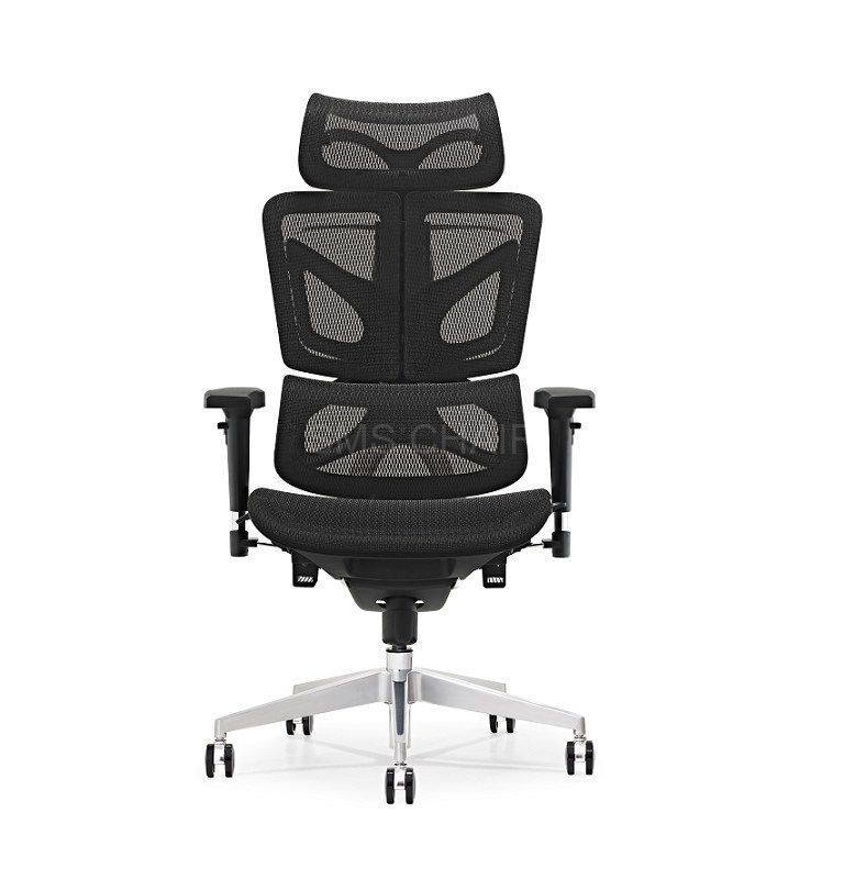 Ergonomic Luxury Office Mesh Chair With Dynamic Backrest