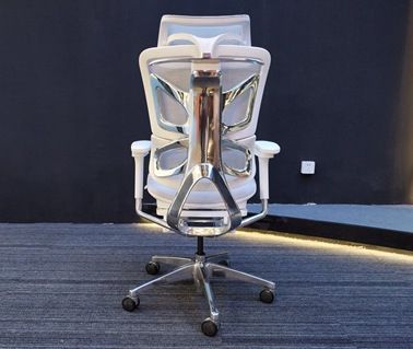 How Ergonomic Executive Chairs Like The Shunmas Butterfly Chair Are Transforming Health