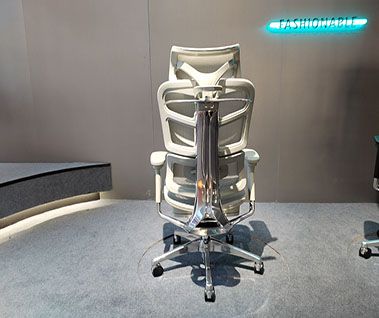 Is An Ergonomic Chair Still An Ergonomic Chair Without A Lumbar Support?